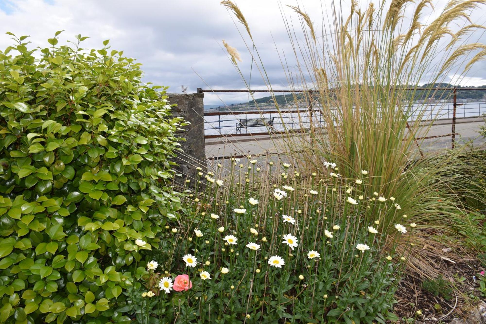One Marine Place Port Bannatyne Eksteriør bilde
